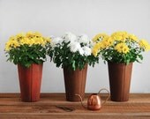 Maple Syrup Buckets - Planter, Vase, Pot, Garden, Flower