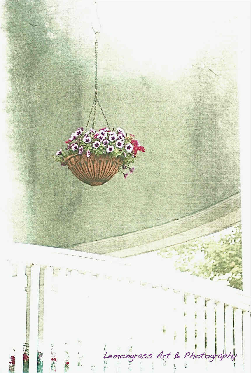 Hanging Basket Of Flowers On The Porch 6" x 9" Fine Art Print Plus More Sizes - LemongrassArt