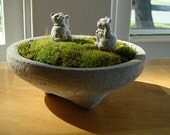 Zen Concrete Miniature Moss Terrarium & 2 Zen Mini Lucky Cats