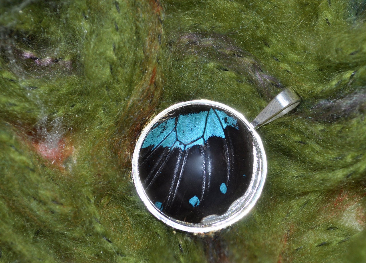 SALE Real Butterfly Wing Pendant Necklace