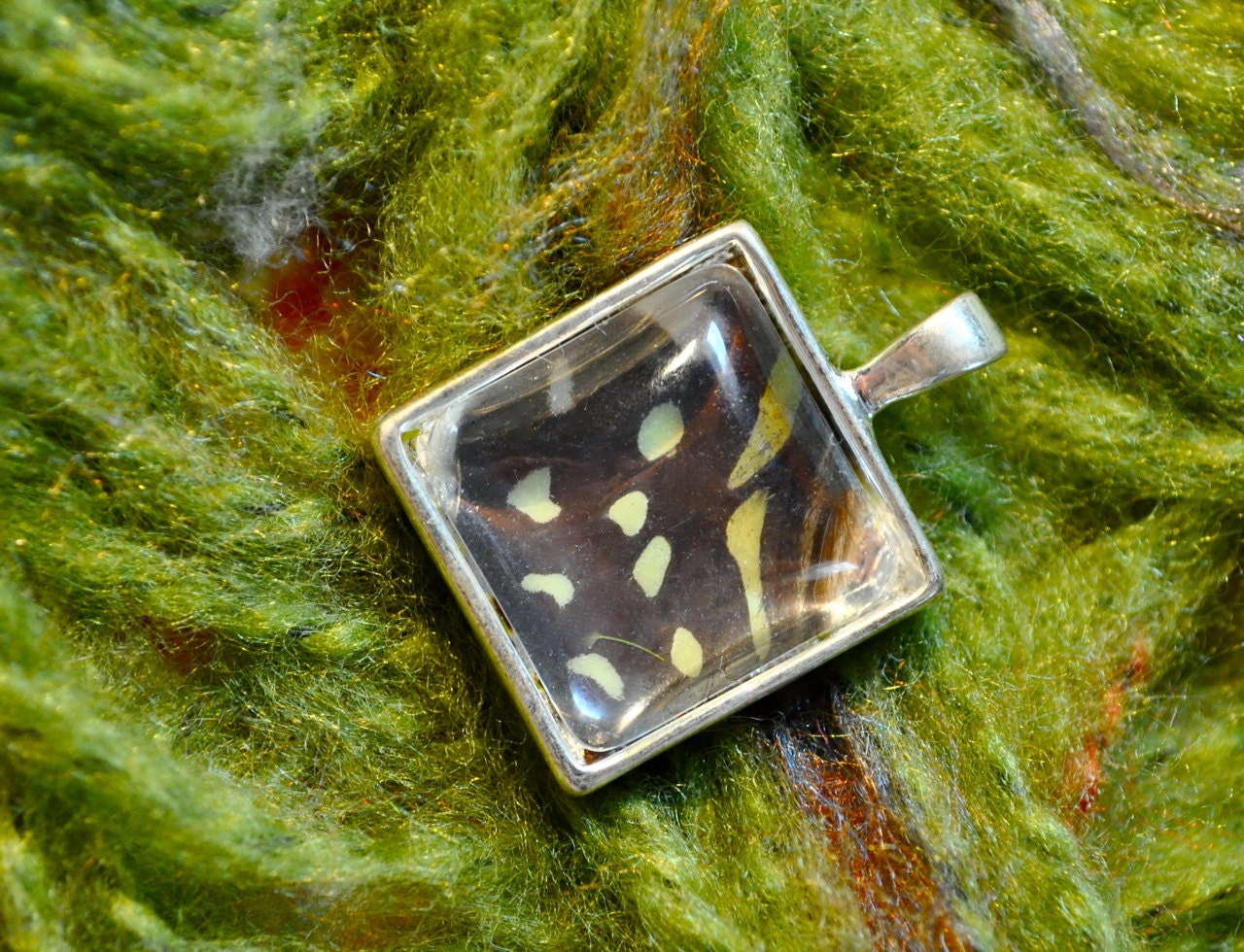 SALE Real Butterfly Wing Pendant
