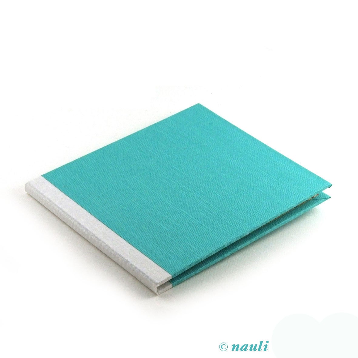 CD case turquoise monochrome