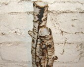 multi trunk birch bark clump wall pocket vase - rustic studio pottery by Earth N Elements Pottery
