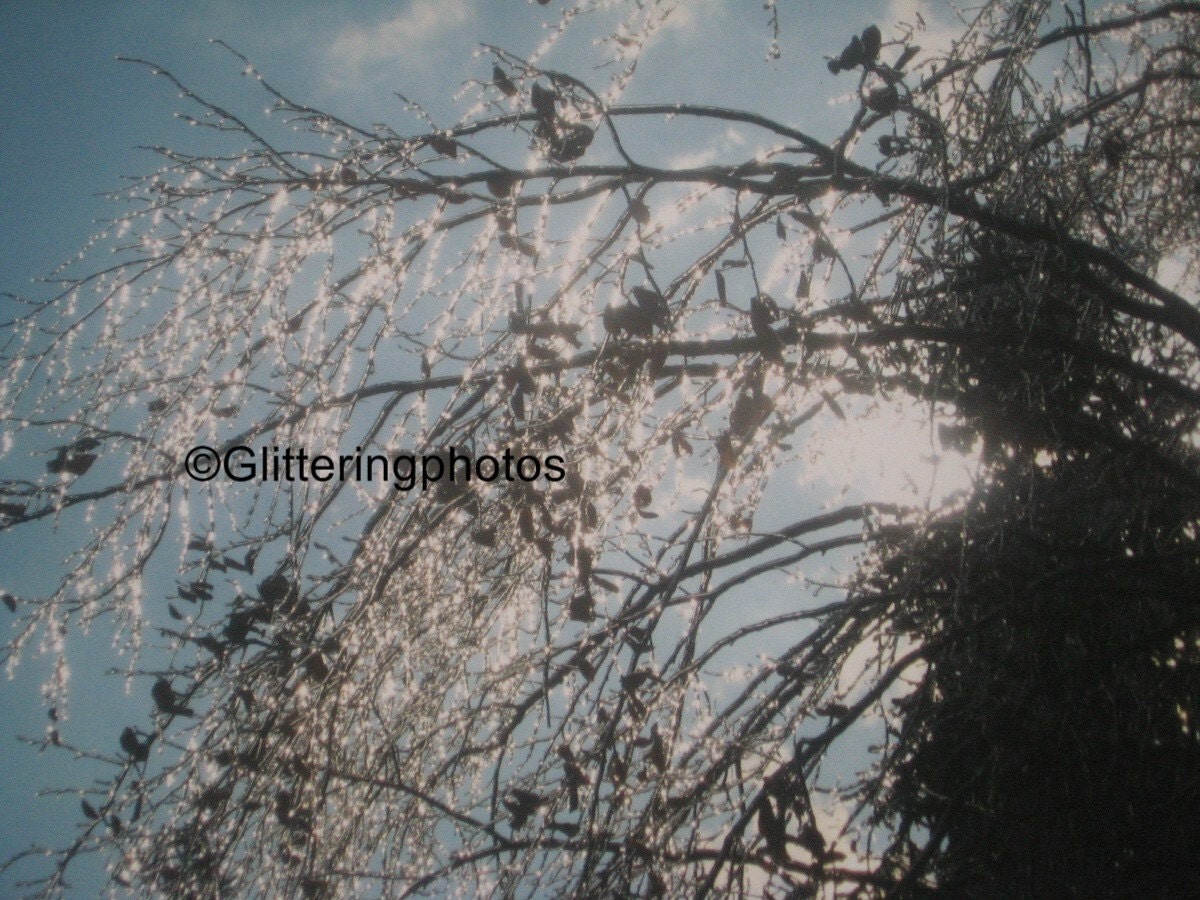 Naturally Glittering Ice No 1 Fine Art Photograph Print Glossy