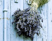 French Lavender Bundles - Pesticide Free - Fragrant