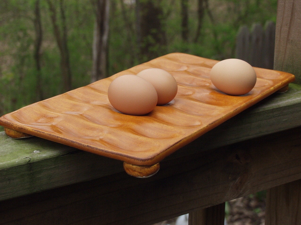Deviled Egg Serving Platter Spiced Pumpkin Ready to Ship