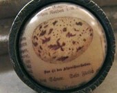 SALE - Grand Bird's Eggs German Naturalist Hand Cast Pewter Bezel