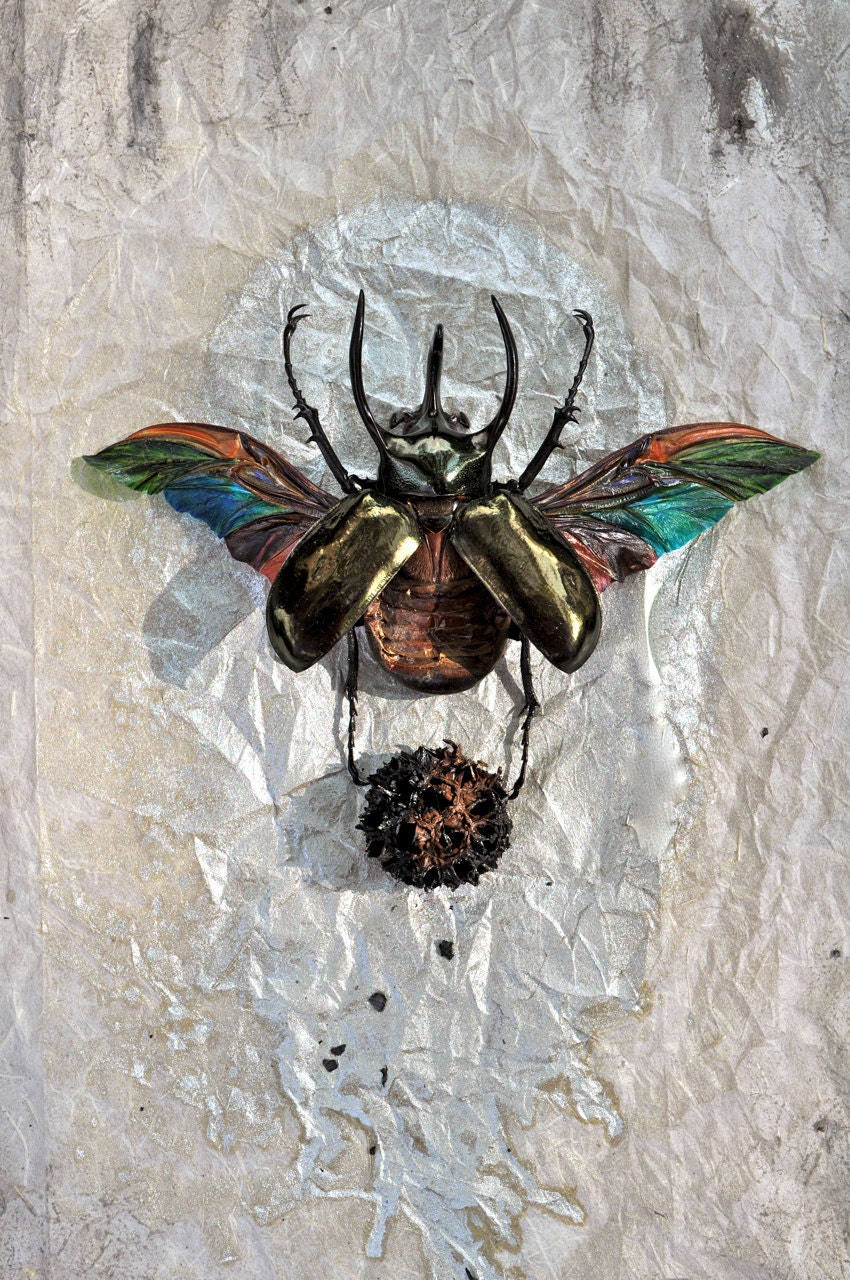 Creation Scarab