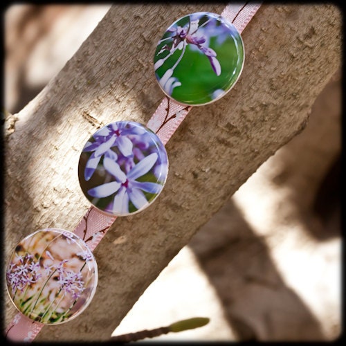Spring photography pinback buttons, badges. Closeup. Optional you pick pictures. Free domestic shipping