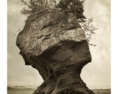 Surreal Landscape Photograph - Rocks, Trees, Face, Southwest, Sepia, Sea, Ocean - The Face of Nature