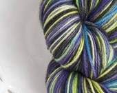 Aliza Dooalot fingering weight  superwash MERINO yarn 100 gram skein