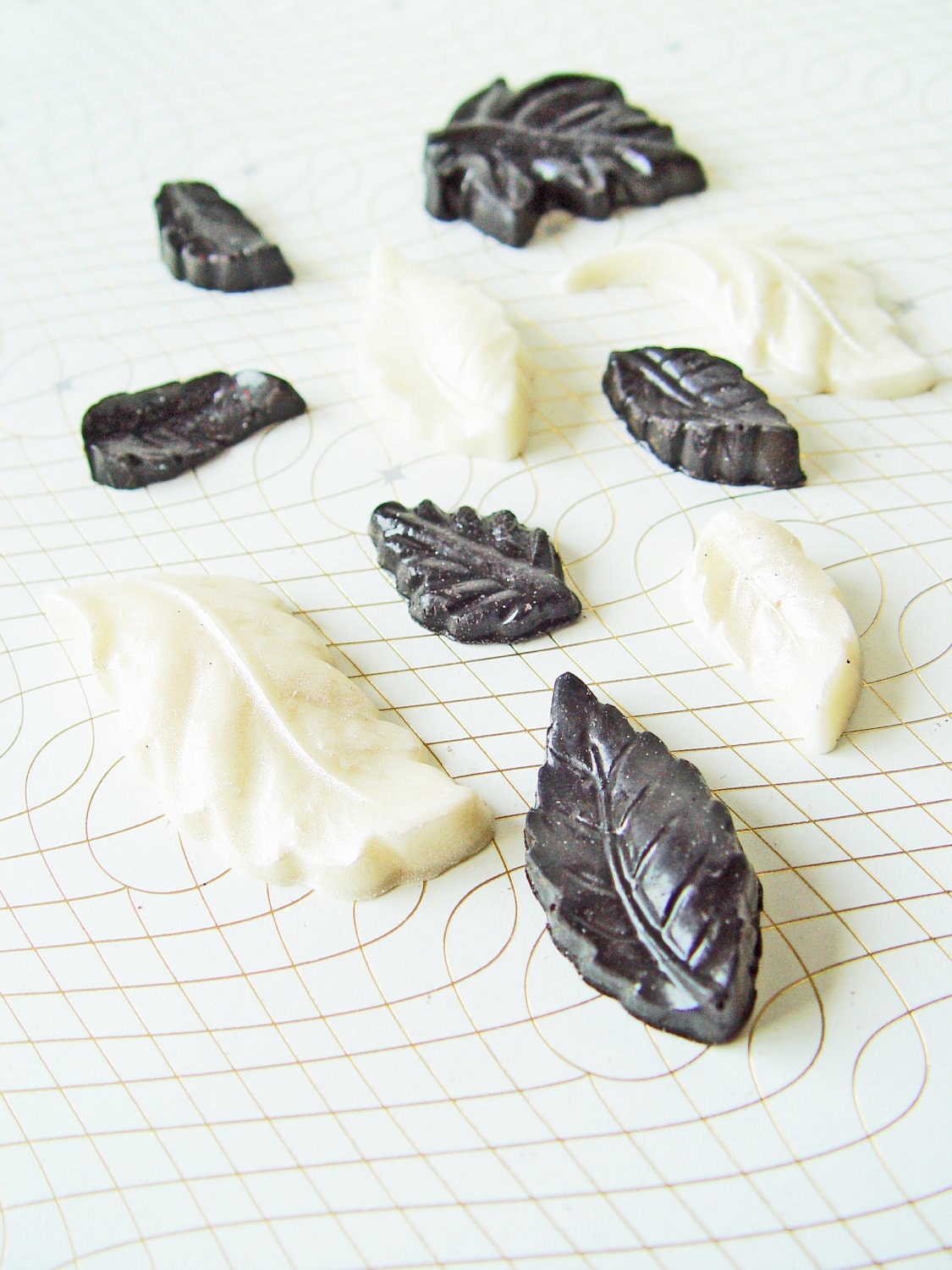 25 Leaves in Chocolate: Black & White Il_170x135