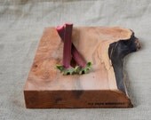 Kitchen Cutting Board, Extra Thick with a Natural Wood Edge 611