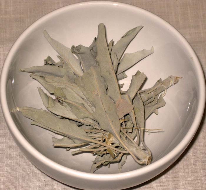 4 Cups Dried Organic Sage Leaf Cluster
