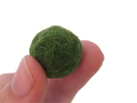 Live Marimo Moss Ball Nano Plant Desk Pet