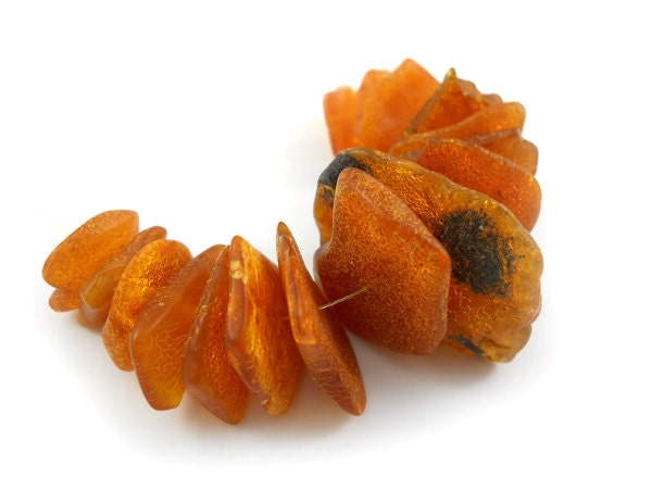 Natural Baltic Amber beads -  lot pcs freeform raw  bead -cognac  - 3 inches - BalticAmberAndCab