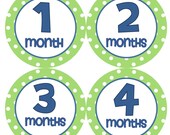 Baby Month Stickers Baby Boy Monthly Onesie Stickers Navy Blue Green Polkadot First Year Month Stickers Baby Shower Gift Photo Prop Greg2
