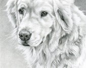 Hand Drawn Portrait in Graphite - 5x5 or 5x7