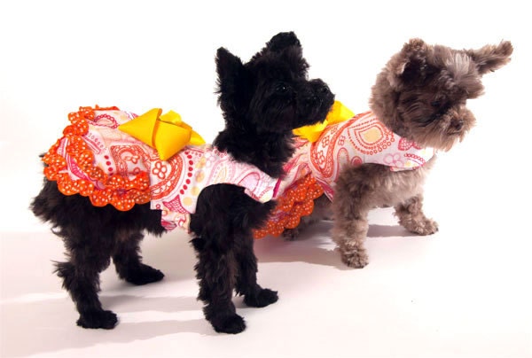 Paisley Dog Dress with Yellow Bow and Orange ruffled trim