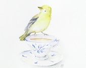 Original Watercolor tea bird yellow goldfinch delft cup - ucuspucus