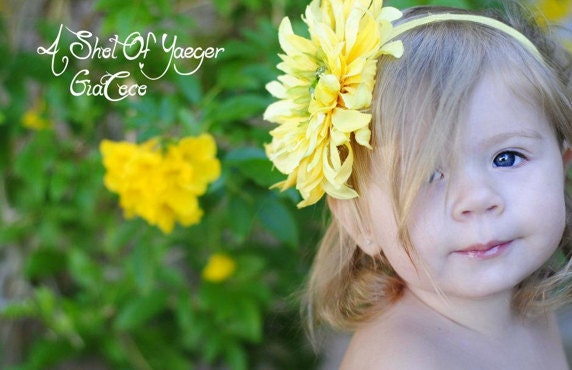 Spring Flowers Collection