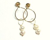 Gold Loop Pearl Earrings Post