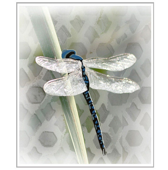 DRAGONFLY / vintage pattern / mixed media original art print / 8x10 inches / grew / blue / dragonfly - NaturalHarmonyShop