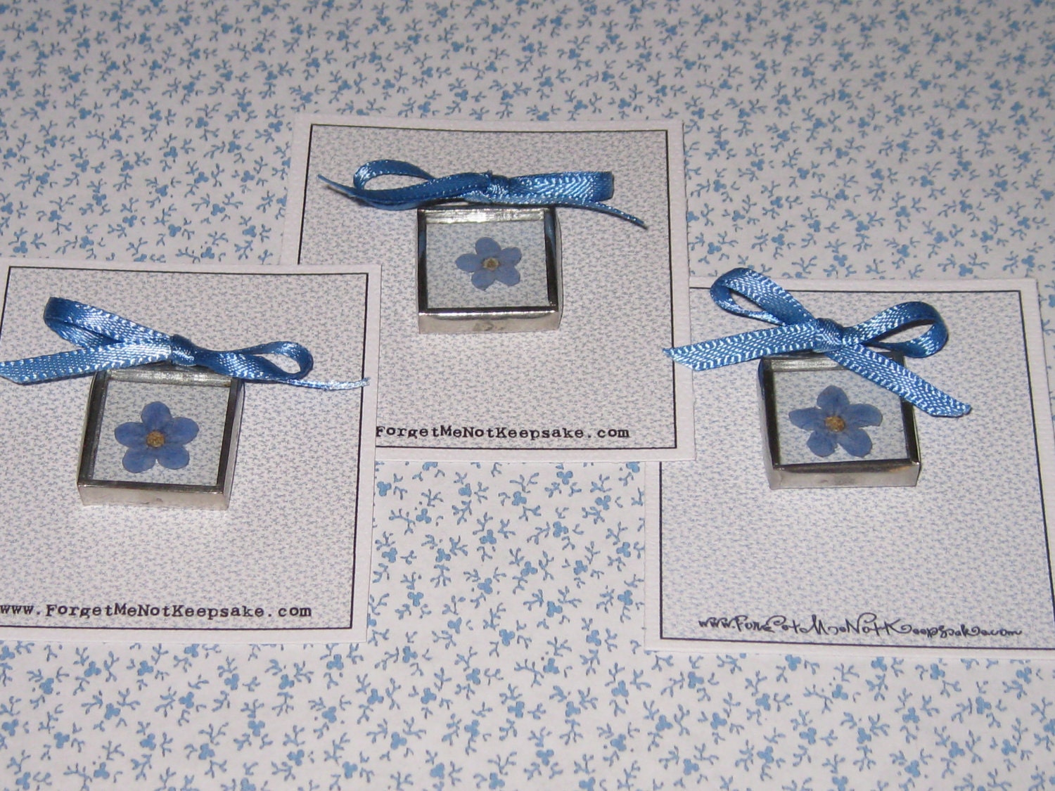Silver Soldered Glass pendant with a Real Forget Me Not Flower
