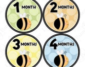 Monthly Onesie Baby Stickers - Jamie - Bumblebees and Polka Dots - Great Baby Shower Gift and Photo Prop - Baby Month Sticker