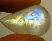 Yellow and Blue Moonstone Pearshape Cabochon 16 Carats 23 x 14 MM Sri Lanka