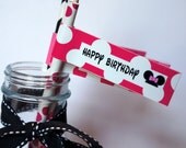 Minnie Mouse Paper Straws and Straw Flags in Hot Pink and Black Polka Dot and Stripes