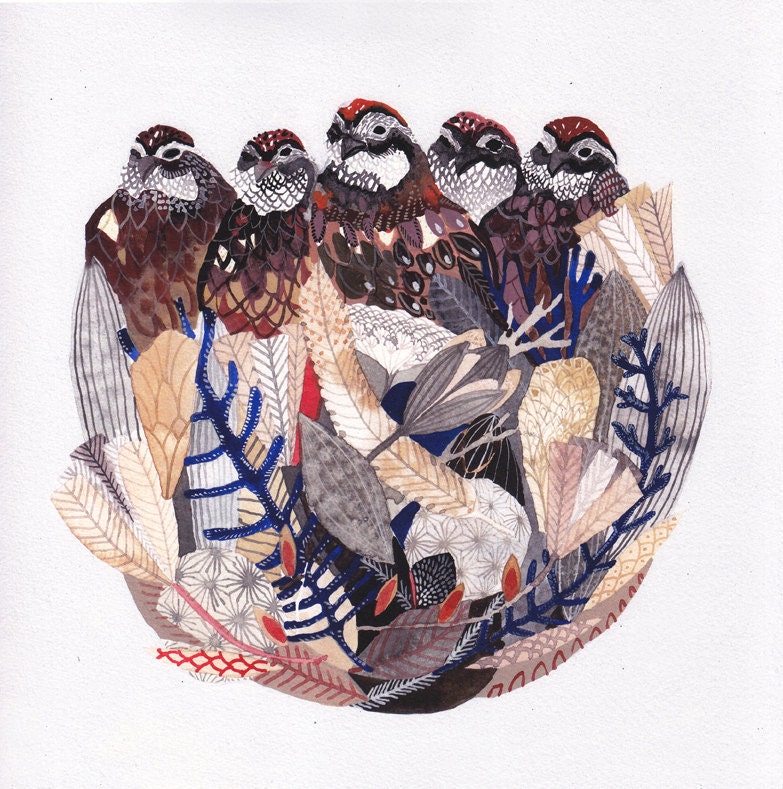 Northern Bobwhites - Large Archival Print