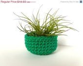 Gift for Dad the Gardener - Air Plant in Bright Green Bowl