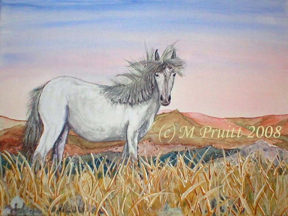 Clearance SALE12x16 HORSE Wildlife original WATERCOLOR painting CANVAS by M Pruitt