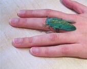 Cicada Ring (turquoise)