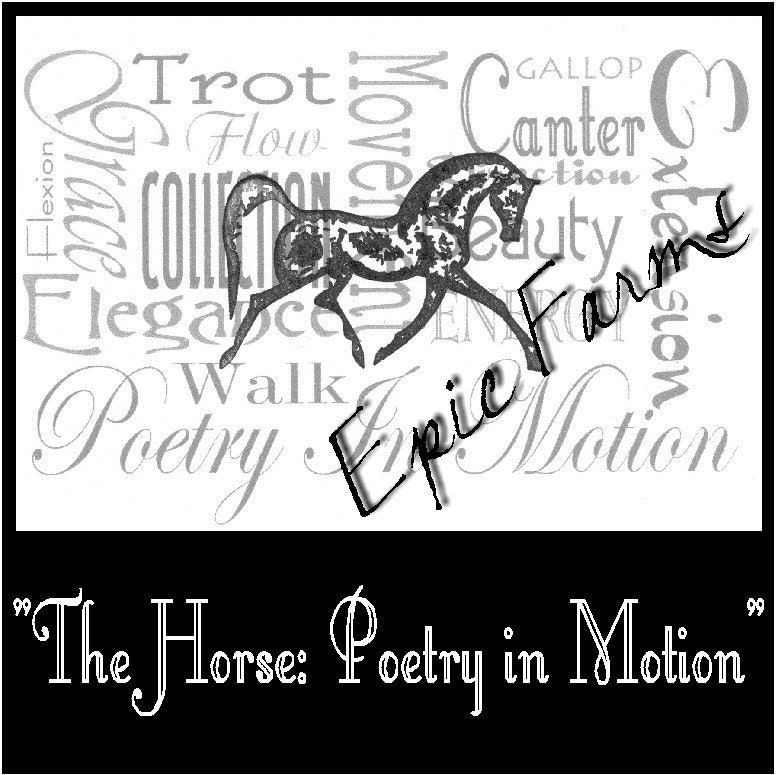 The Horse Poetry in Motion