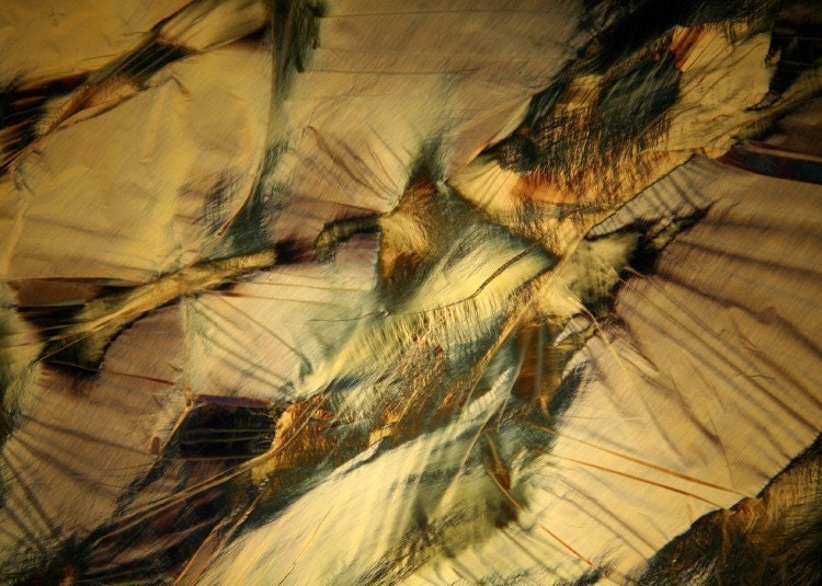 disintegration