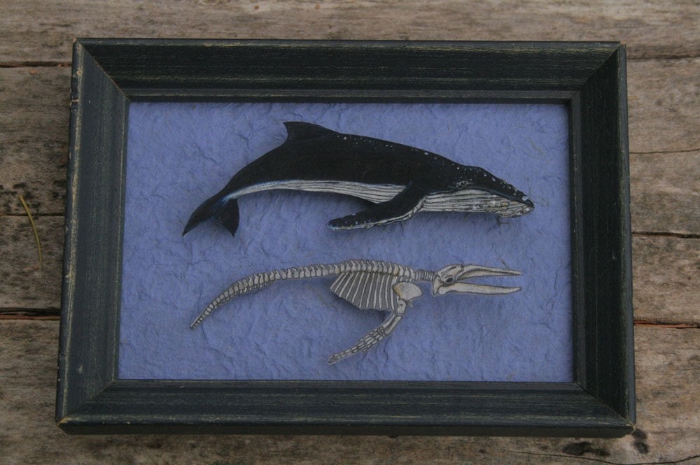 humpback whale/ skeleton brooch