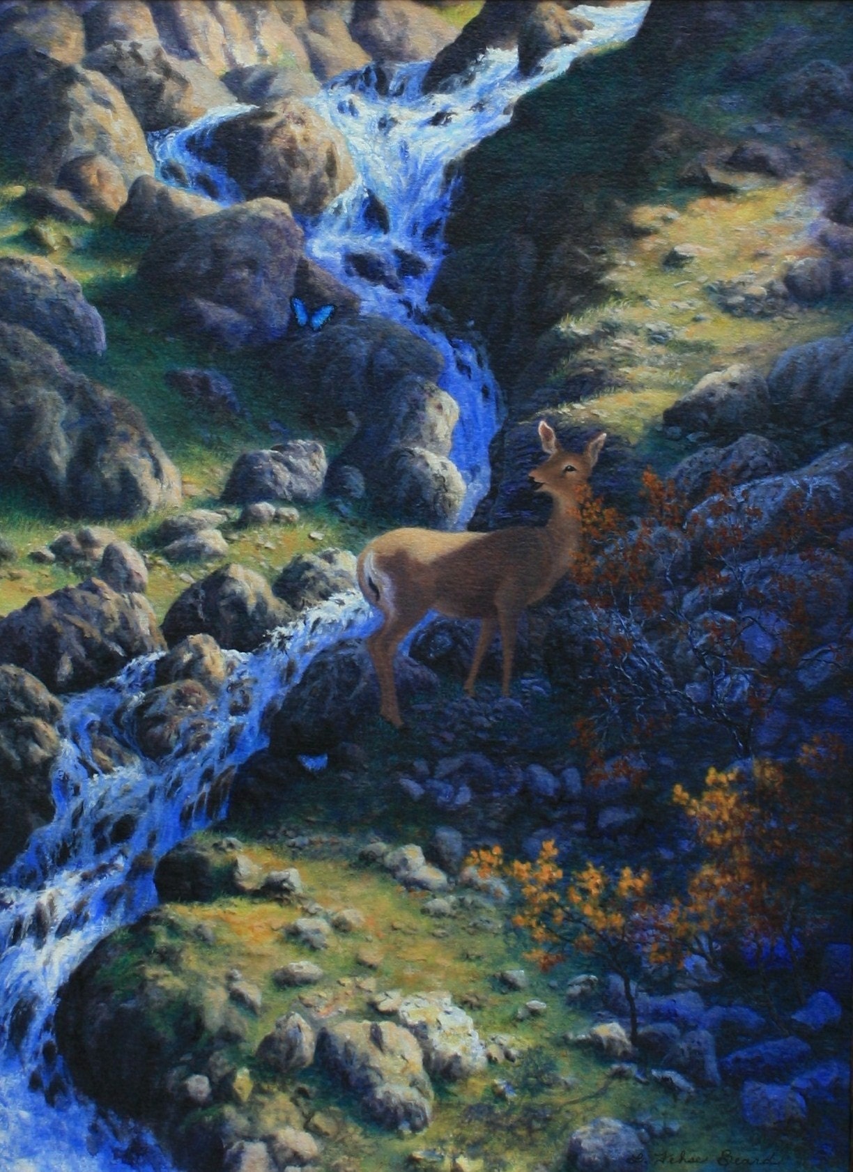 Guadalupe Natl. Park,Texas Landscape, Waterfall, Deer, Butterfly, LIMITED EDITION GICLEE, Stretch Canvas