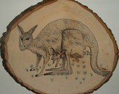 Kanganocerous