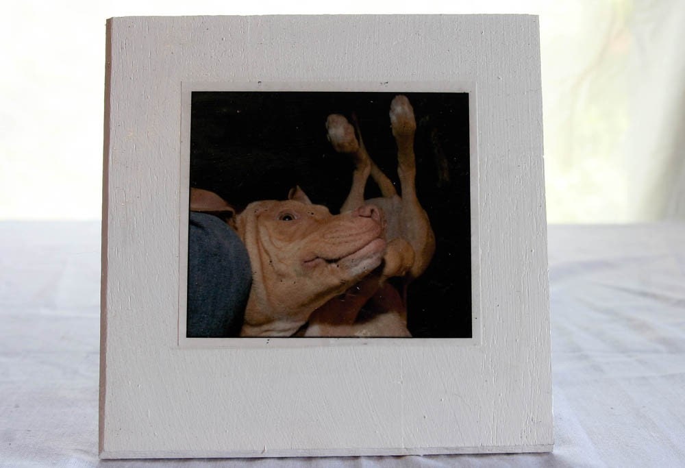 Crazy Pit Mix