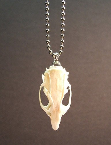 RAT SKULL NECKLACE real bone goth taxidermy jewelry
