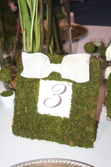 Moss Covered Frame Wedding Party Table Numbers