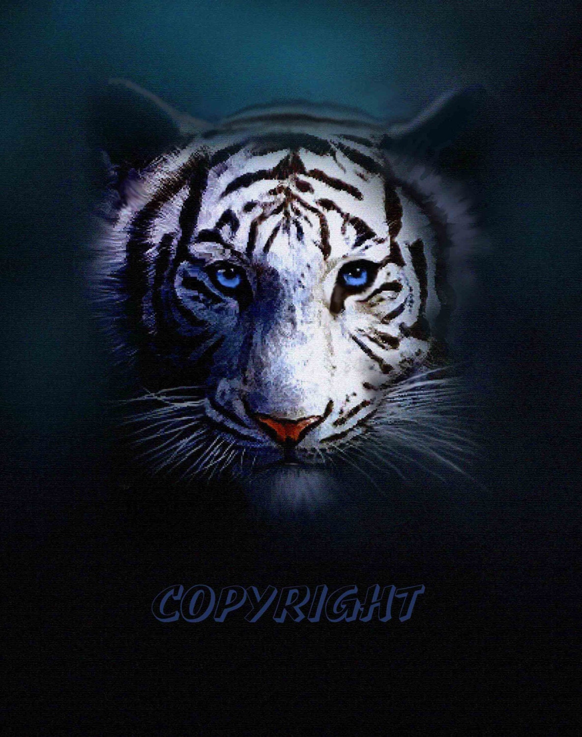 TIGER EYES  8x10 Artist Signed Fine Art open edition collectable