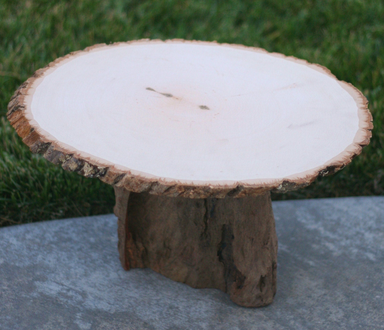 HUGE Tree Stump Slice Cake Stand Woodland Rustic Outdoor Fall Wedding CHIC