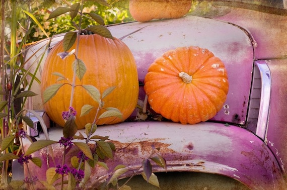 Autumn Photos - Pumpkin, Vintage Truck, Radio Flyer wagon, apple harvest, Halloween, harvest