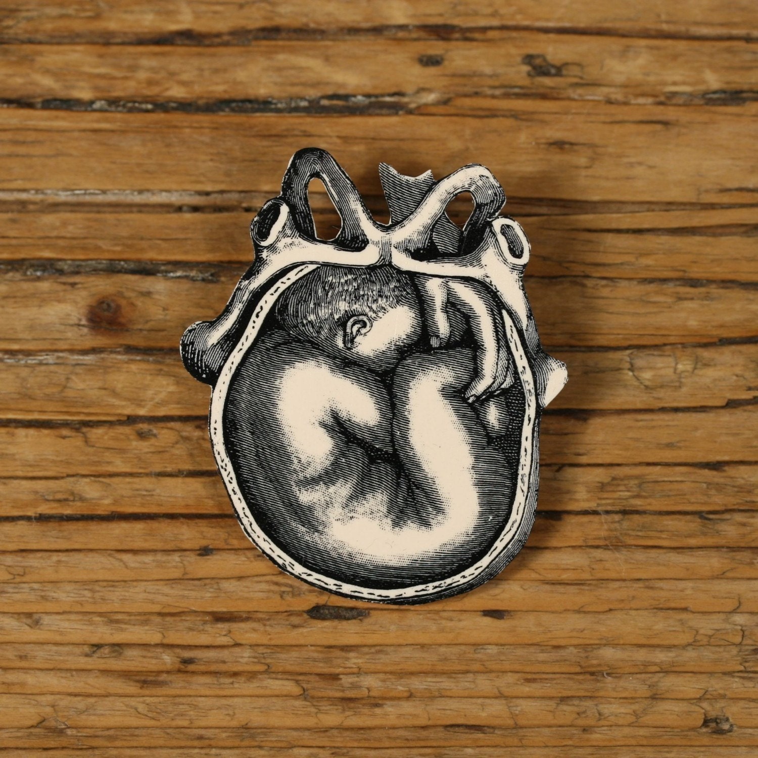 Fetus Brooch