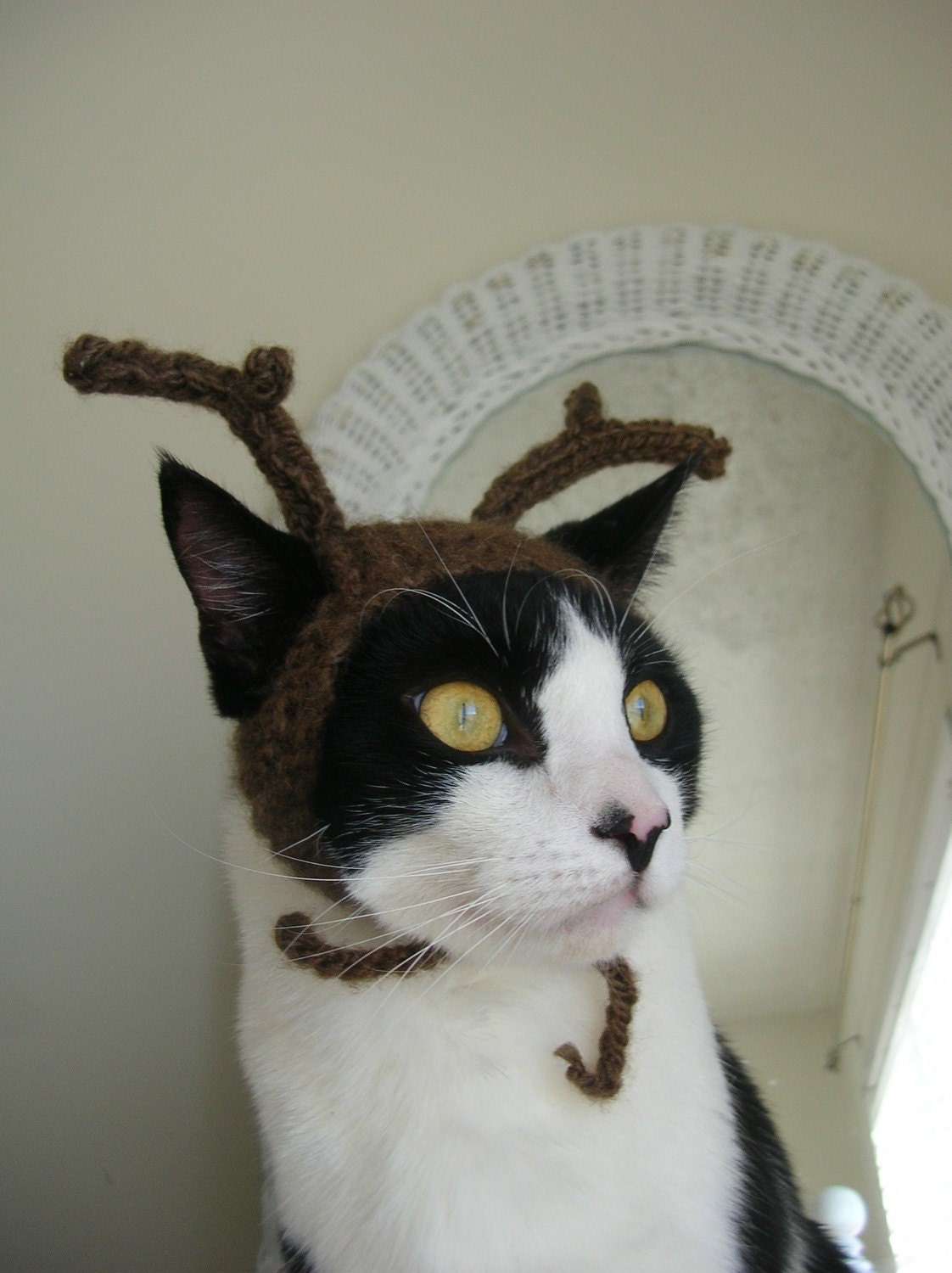 The Reindeer Cat Hat