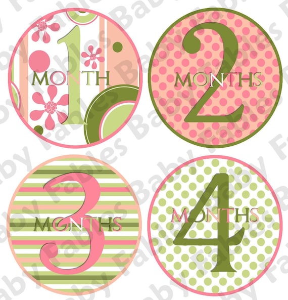 Monthly Baby Onesie Stickers - Watermelon