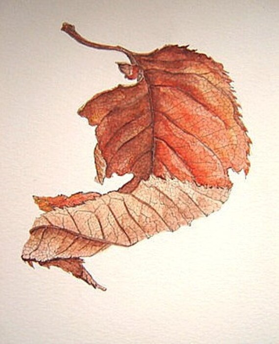 Autumn Leaf - Limited Edition Print from Original Watercolour
